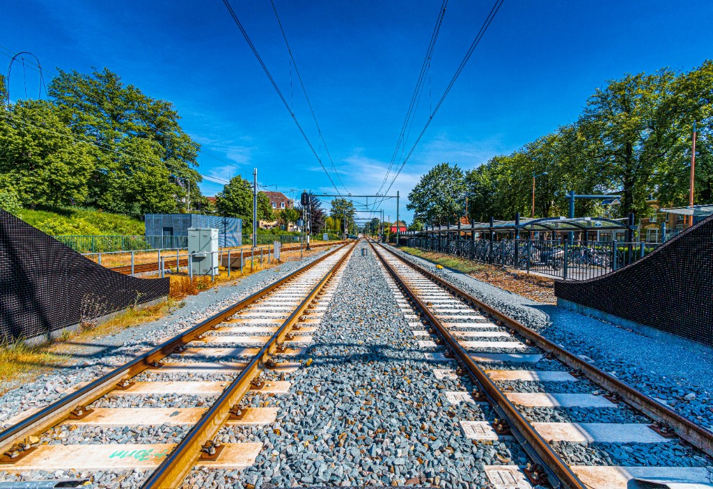 jack-van-der-spoel-t7d7ywZ7yLc-unsplash (1) (1).jpg