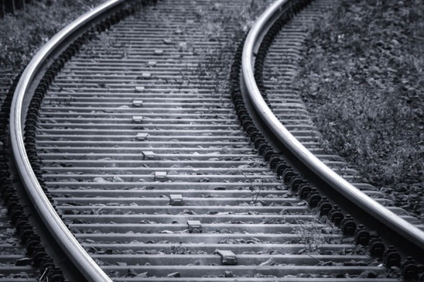 Туристический поезд к Воронежскому биосферному заповеднику начнет курсировать с 29 апреля