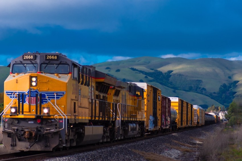 Более 5 тыс. домашних животных без сопровождения владельцев перевезено в уральских поездах в 2022 году